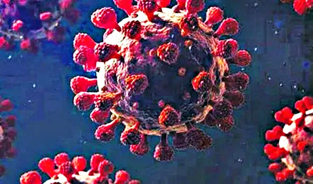 COVID-19 new variant JN.1