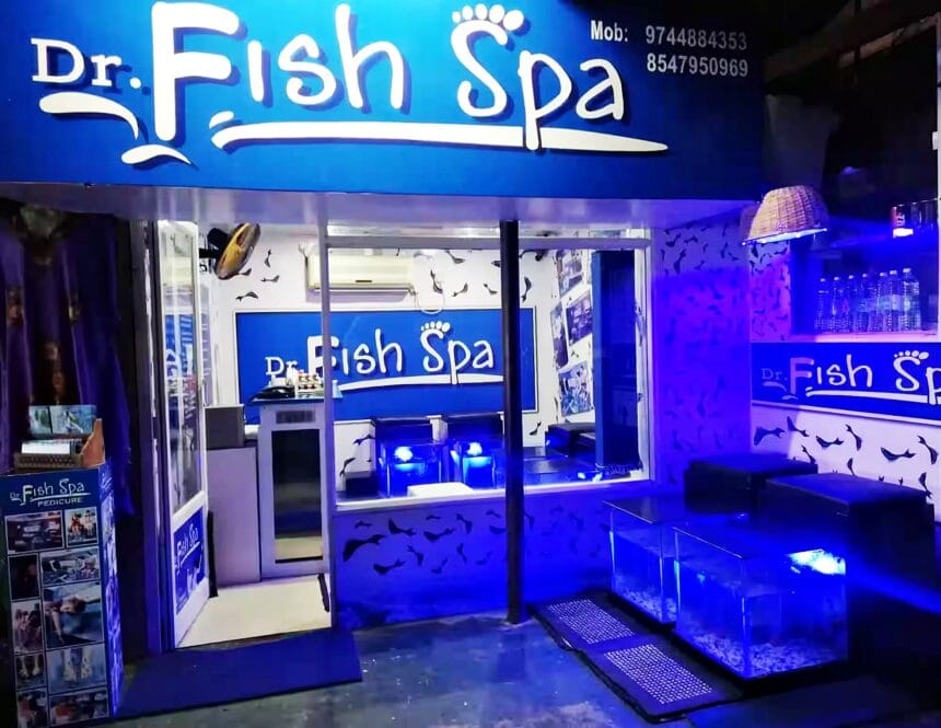 Fish Spa