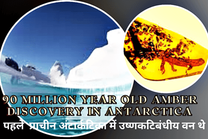 90 million year old Amber discovery in Antarctica