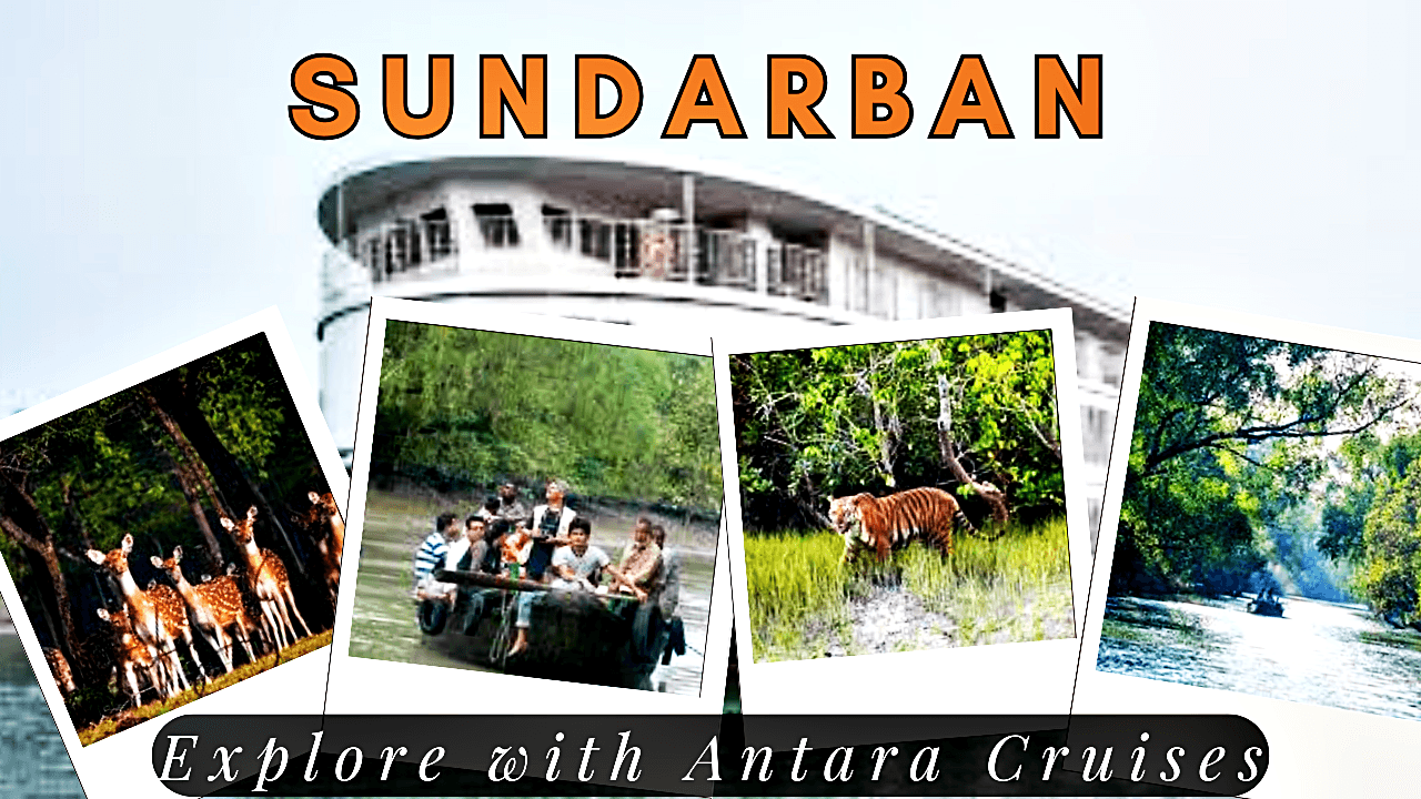 Antara Cruises