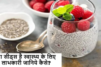 Chia Seeds Benefits