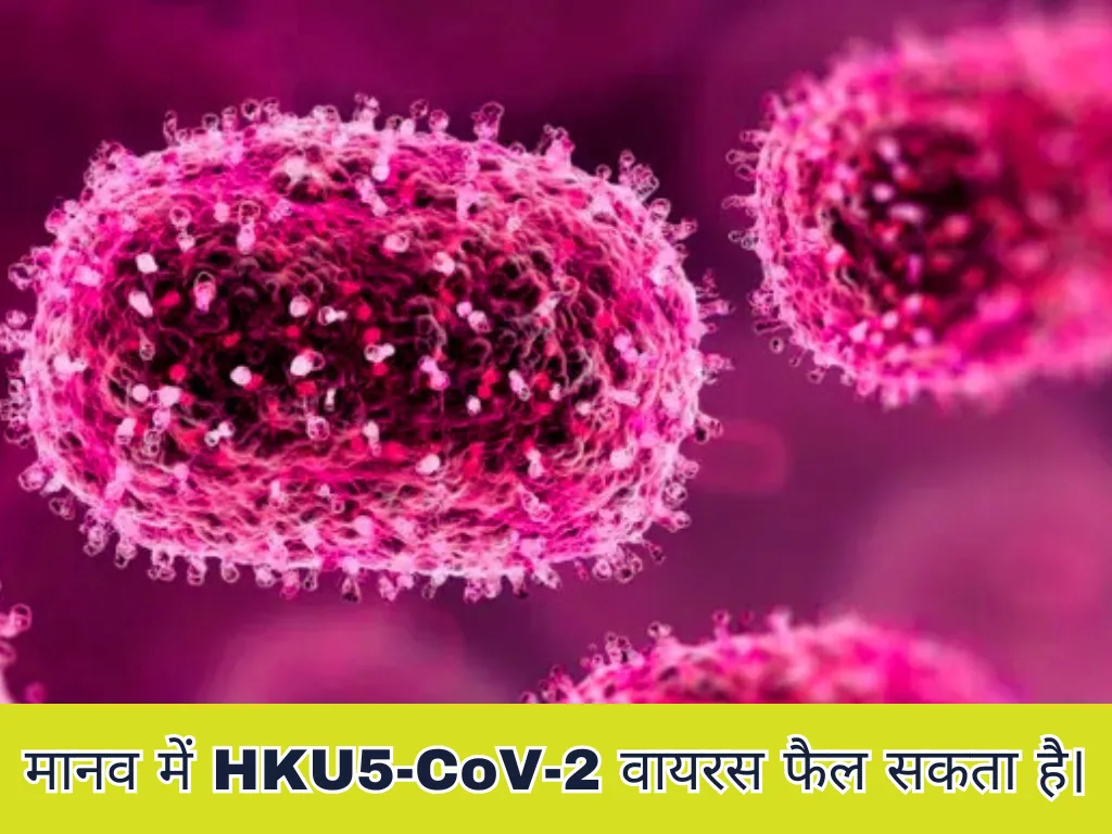 Discovery of New Dangerous Bat Coronavirus 2025