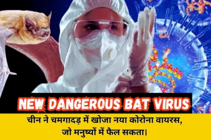 Discovery of New Dangerous Bat Coronavirus 2025