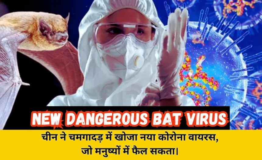 Discovery of New Dangerous Bat Coronavirus 2025