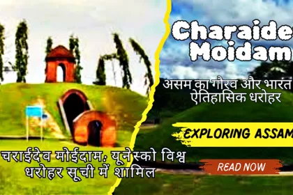 Charaidev Moidam Assam World Heritage Site