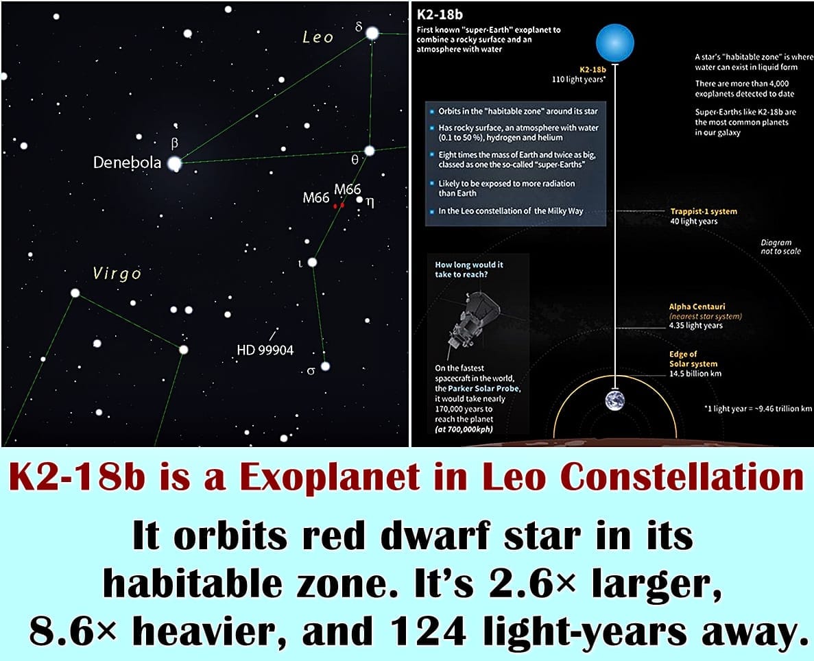 Dr Nikku Madhusudhan