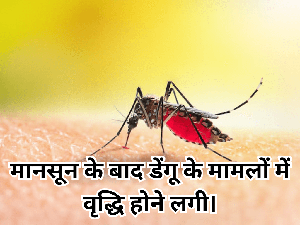 Dengue Situation in India