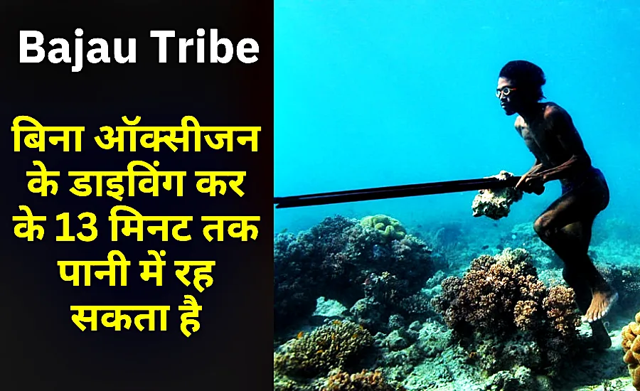 Bajau Tribe Sea Nomads: Tribe underwater diving