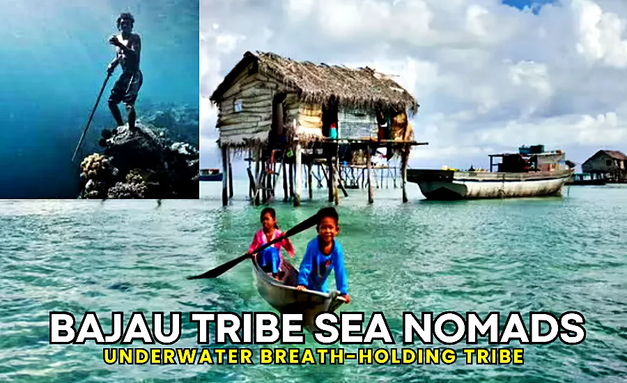 Bajau Tribe Sea Nomads की पारंपरिक जीवनशैली का दुर्लभ दृश्य