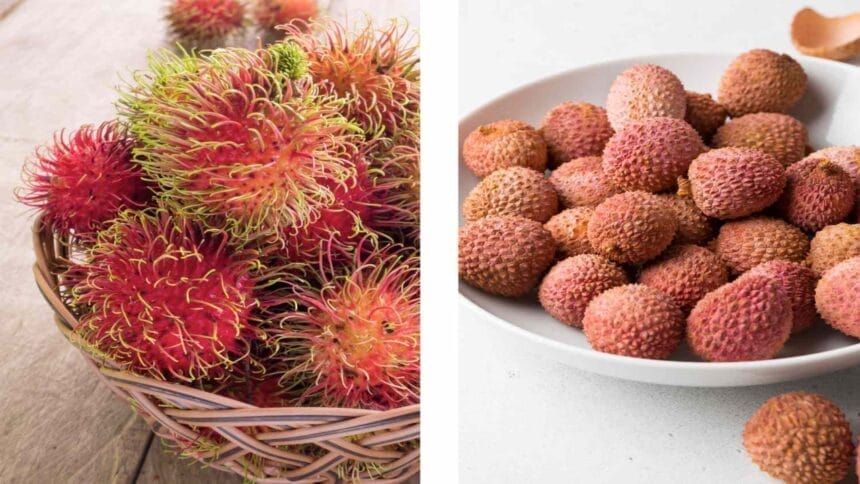 Litchi Benefits