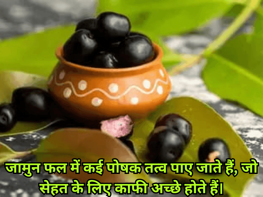 Benefits of Jamun Fruit