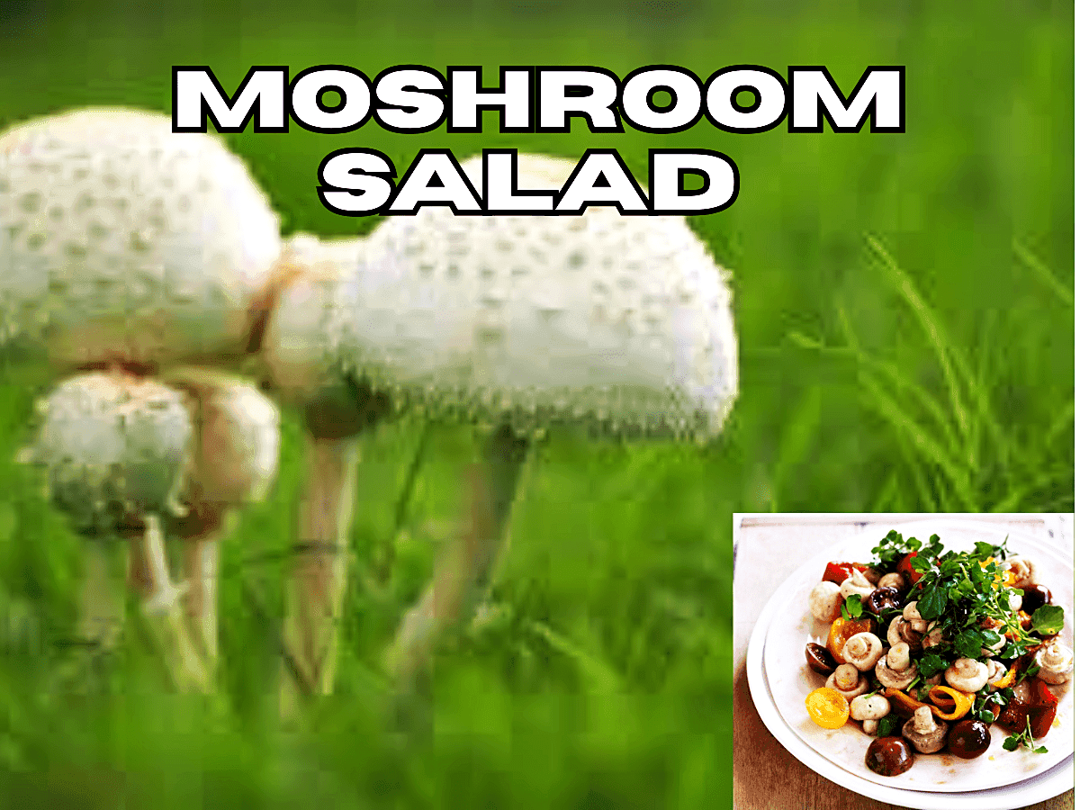 Health Tips- Moshroom Salad