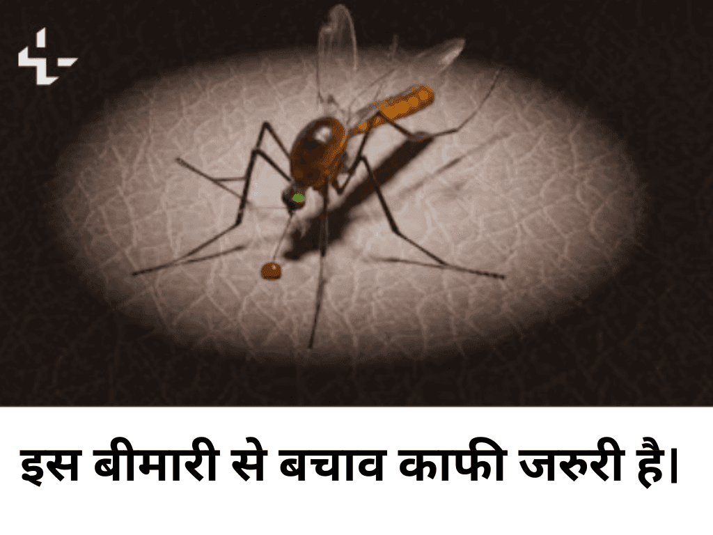 Chikungunya Vs Dengue