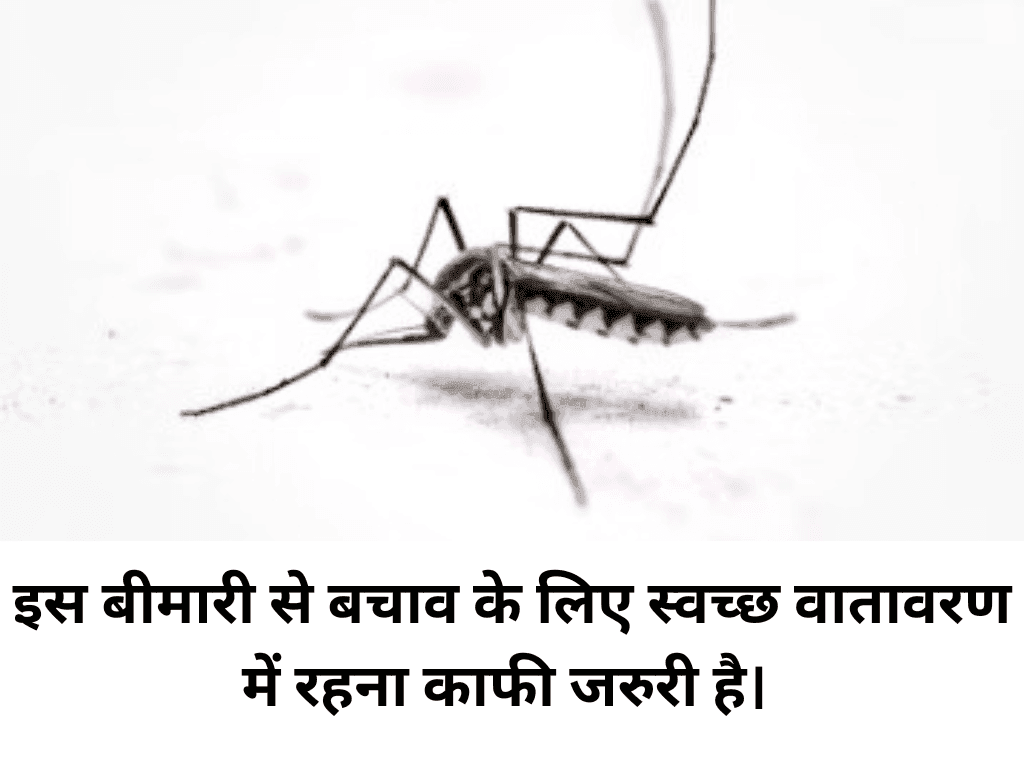 Chikungunya Vs Dengue