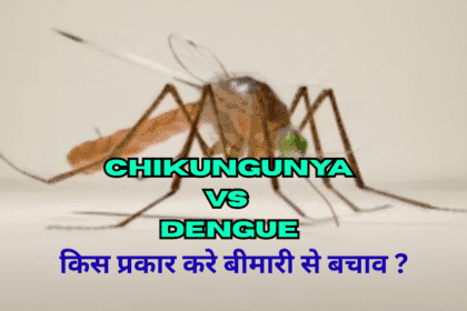 Chikungunya Vs Dengue