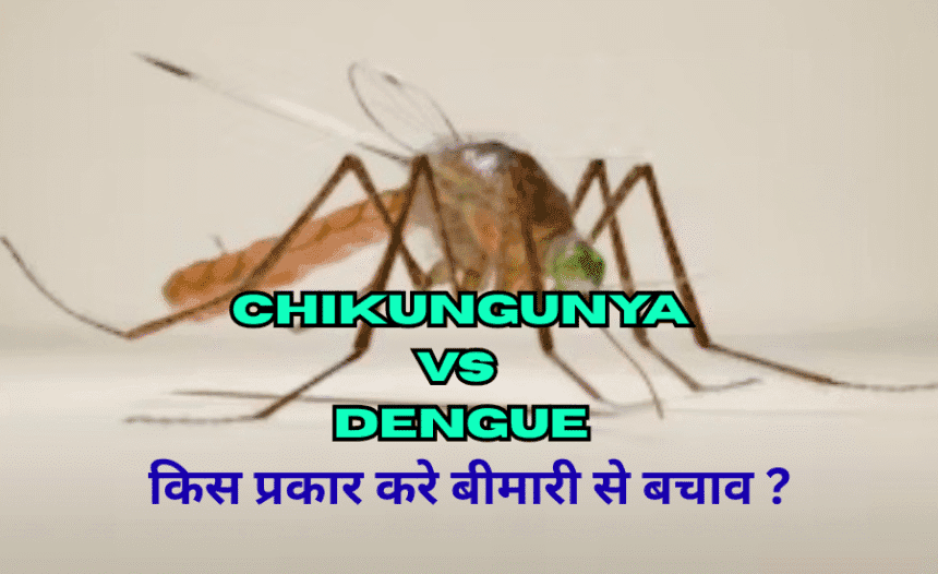 Chikungunya Vs Dengue