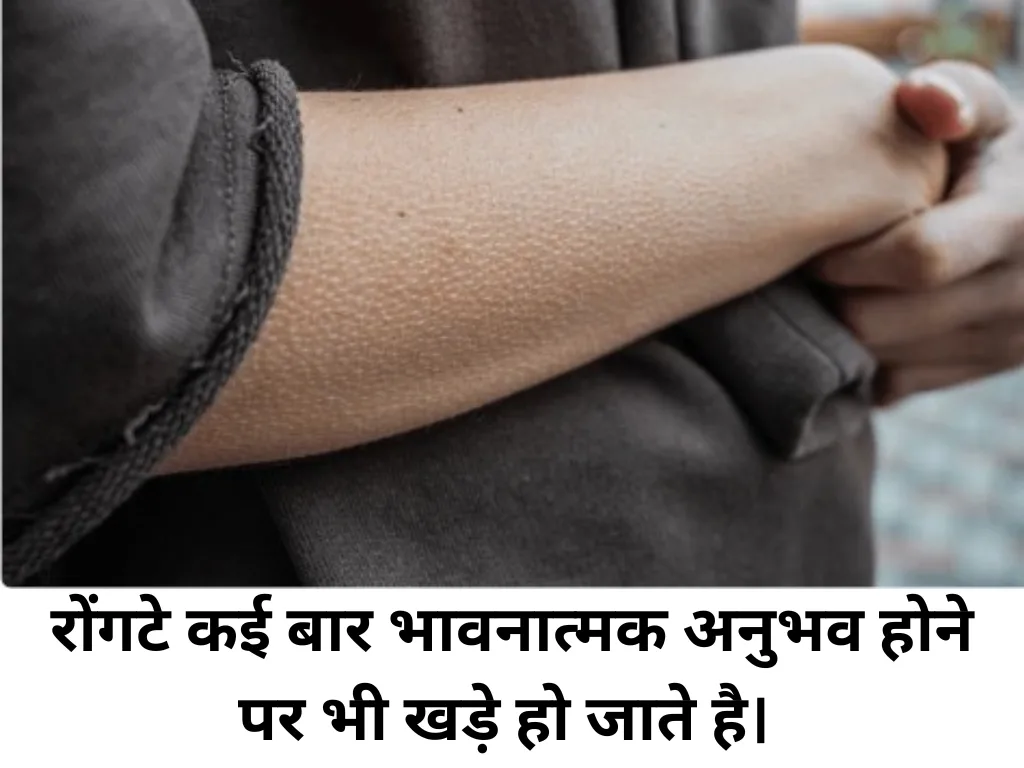 Why Do We Get Goosebumps