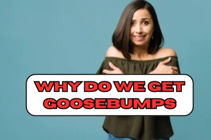 Why Do We Get Goosebumps