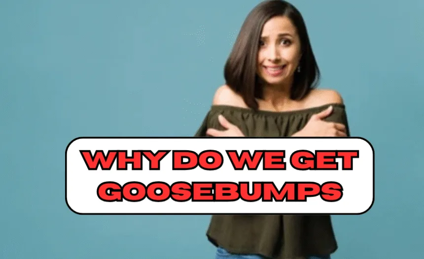 Why Do We Get Goosebumps