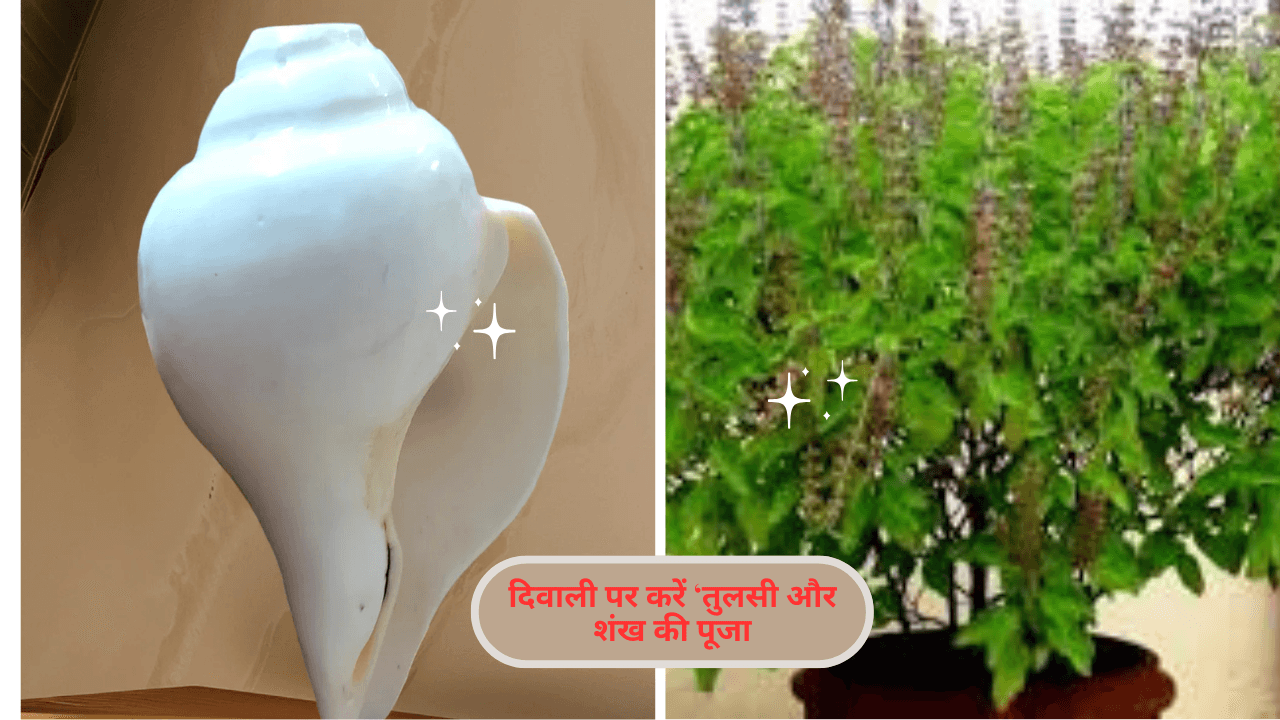 Astrological Remedies Diwali 2025 तुलसी और शंख की पूजा – सकारात्मक ऊर्जा और लक्ष्मी कृपा का सूत्र