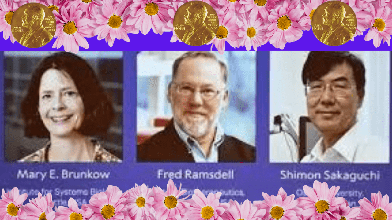 Immune Nobel Prize 2025