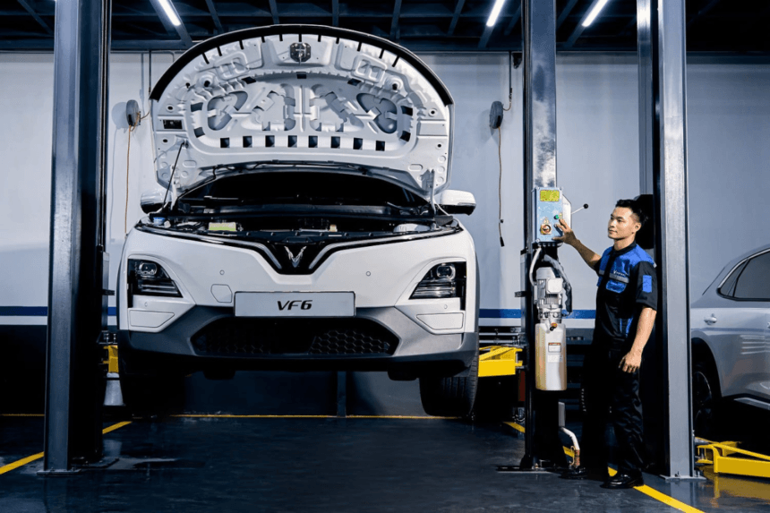 VinFast EV Market Leadership