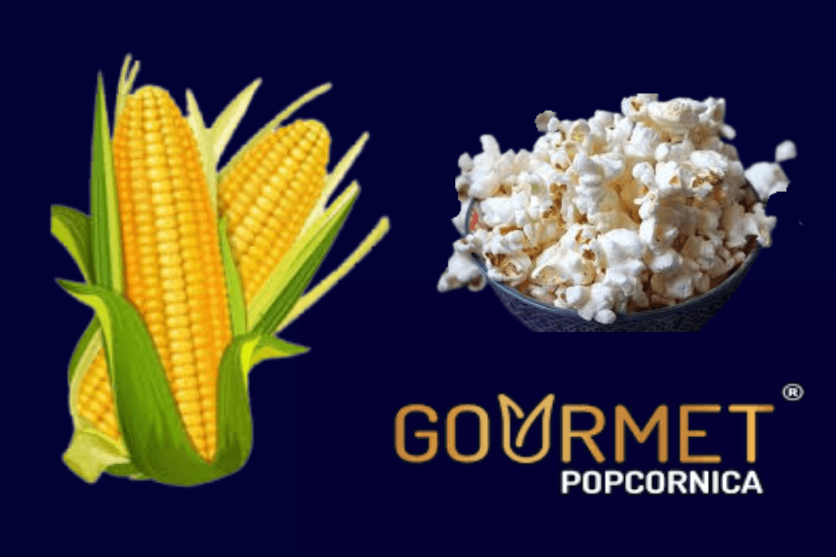 Gourmet Popcornica