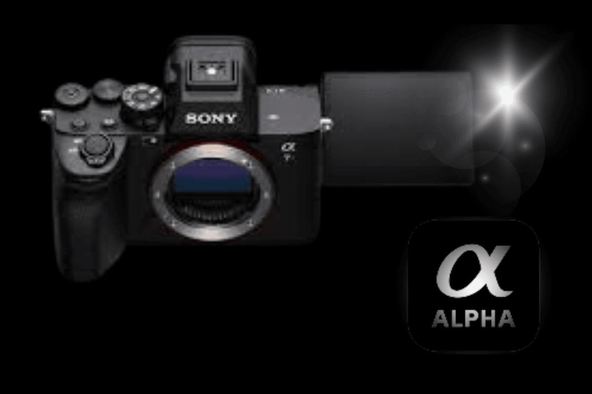 Think Wildlife Think Sony | Sony Alpha Community