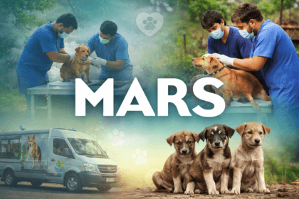 Mars Impact Fund