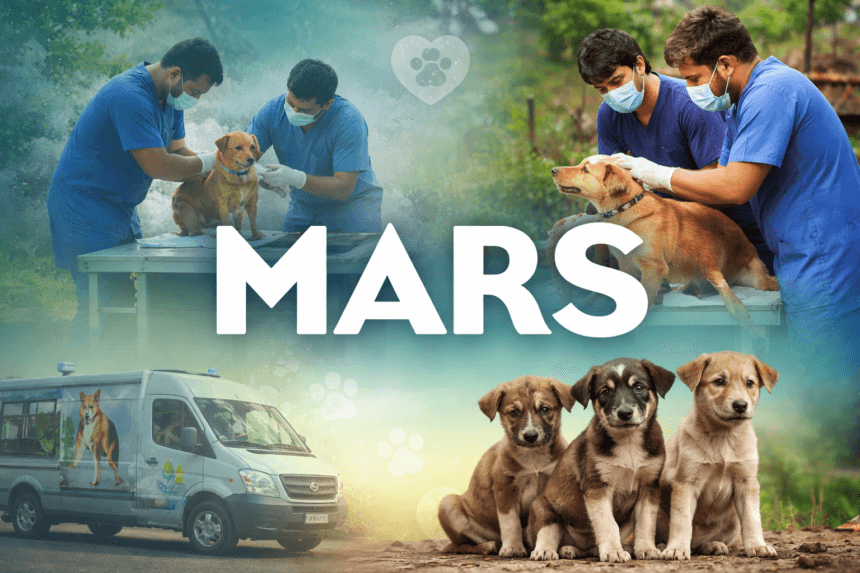 Mars Impact Fund