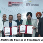 EY India Certificate