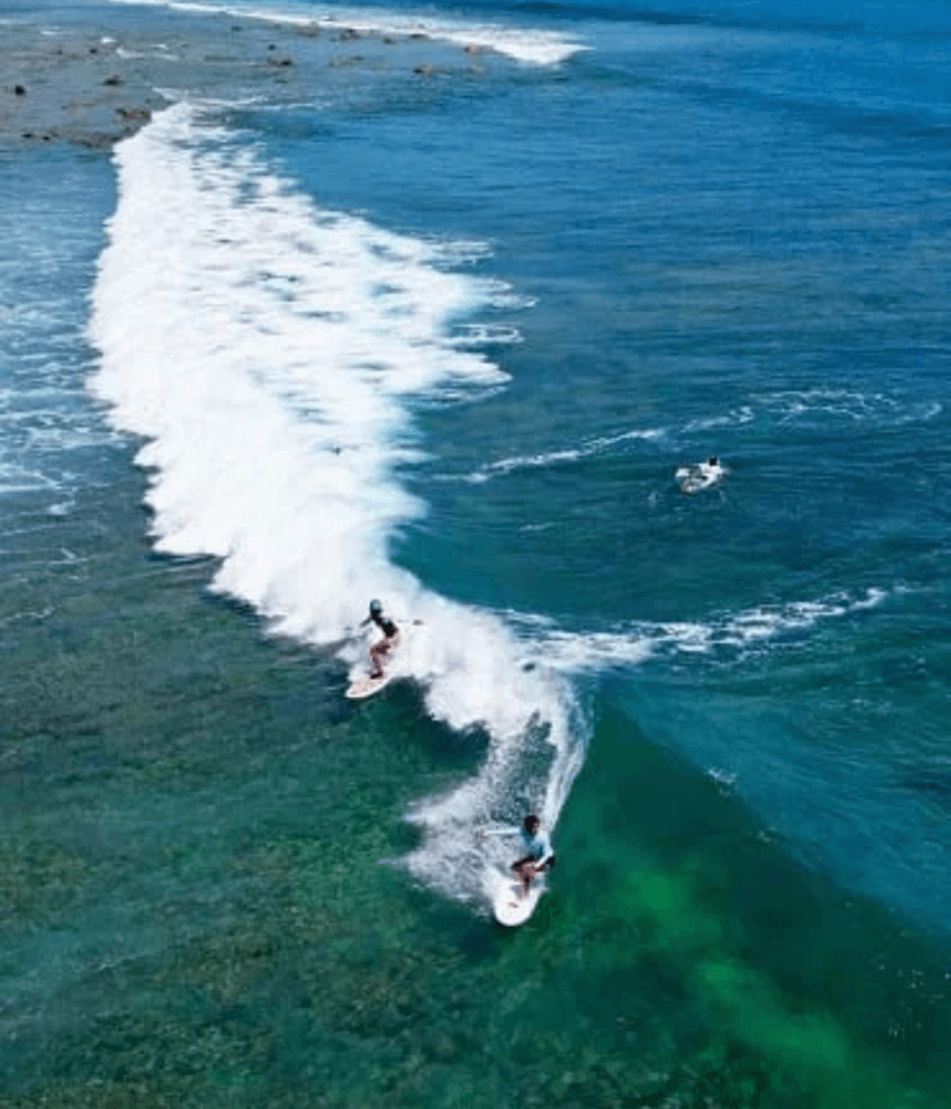 Little Andaman Pro 2026