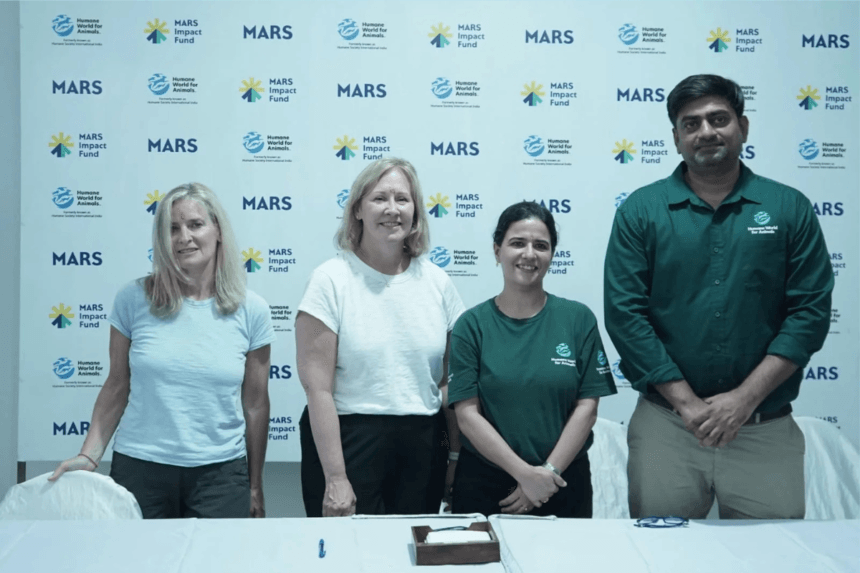 Mars Impact Fund