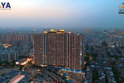 Saya Gold Avenue